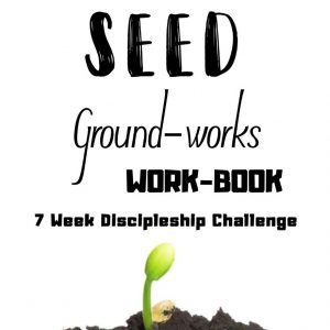 SEED Ground-works Workbook